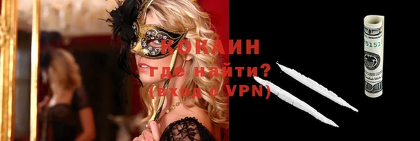 ешки Алексин