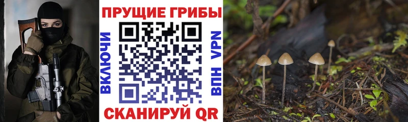 Галлюциногенные грибы ЛСД Канск