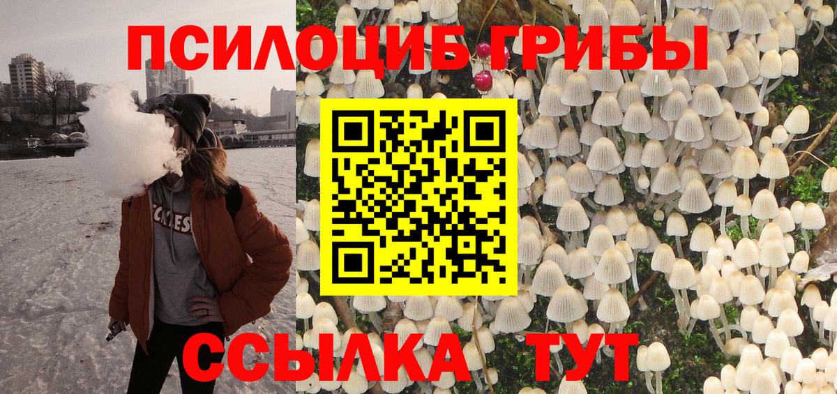 Галлюциногенные грибы GOLDEN TEACHER  Галлюциногенные грибы прущие грибы  продажа наркотиков  Канск  Вход с VPN 