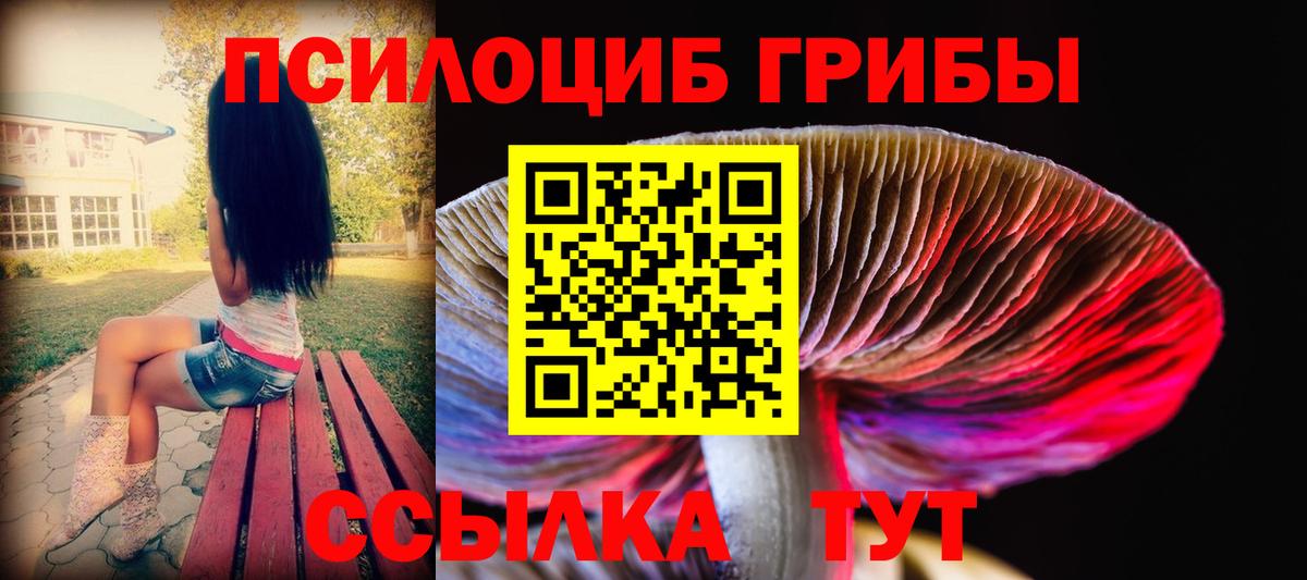 Псилоцибиновые грибы прущие грибы Канск